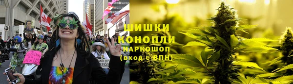 ГАЛЛЮЦИНОГЕННЫЕ ГРИБЫ Аркадак