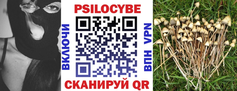 Купить закладки  Урюпинск  Галлюциногенные грибы Psilocybe 